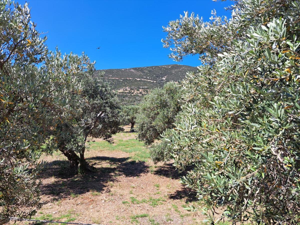 Madilides דירה Platis Gialos (Sifnos)